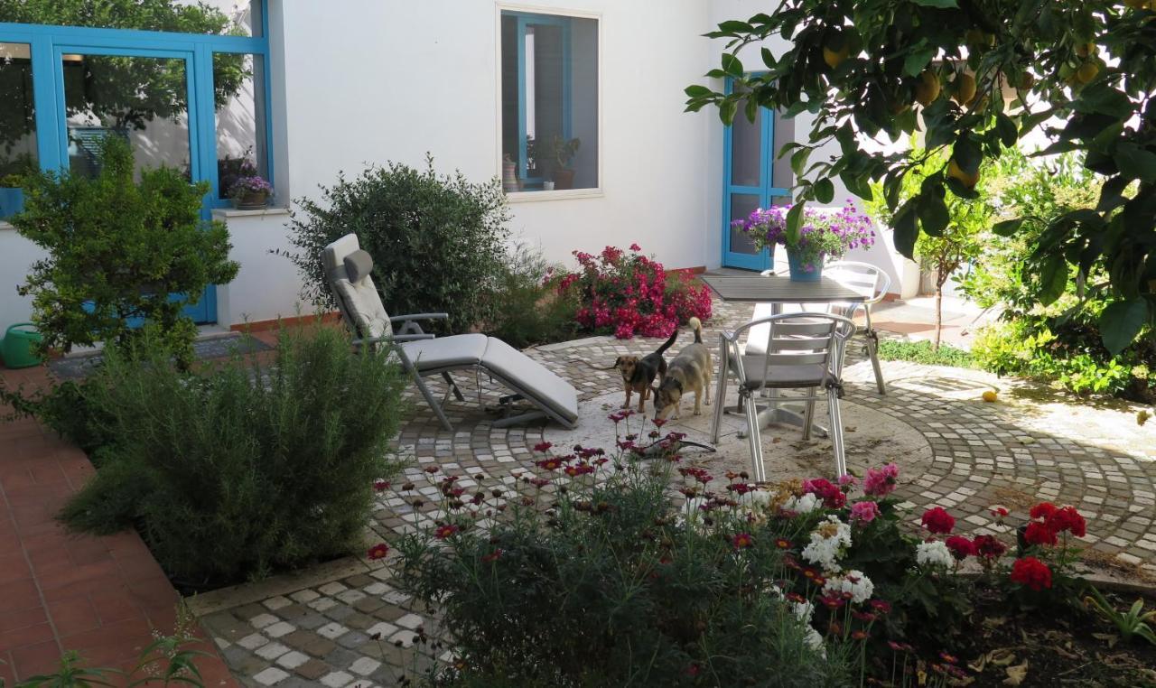 B&B-Le Rondini Монсеррато Экстерьер фото